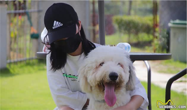 学会这5个方法，狗狗不高兴的时候，让你分分钟就能哄得它摇尾巴