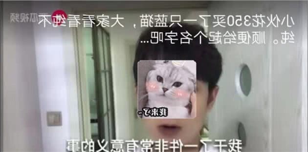 孟加拉豹猫国内乱战解读