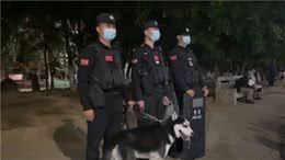 哈士奇被训练成警犬，为了不上班，它离家出走了