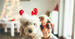 关于狗鼻子的秘密，你知道几个？