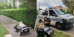 当狗老了眼睛花了耳朵听不见，不要嫌弃，陪伴是最长情的告白