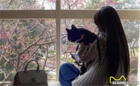 抱猫的4种方式，主人学会了，猫咪不挣扎