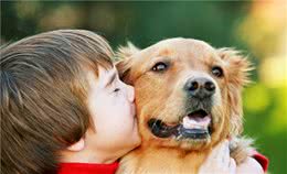 你和狗狗身上都出现红色肿块？5步排查这个罪魁祸首是不是跳蚤