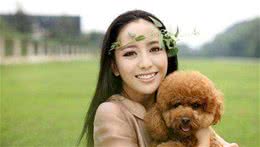 注意！泰迪犬身体这4个“灯”亮起，请立即带去就医