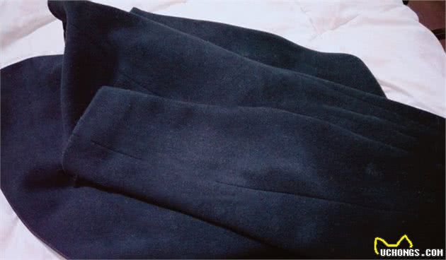 还在为猫狗掉毛苦恼？六个除毛妙招，快拿去