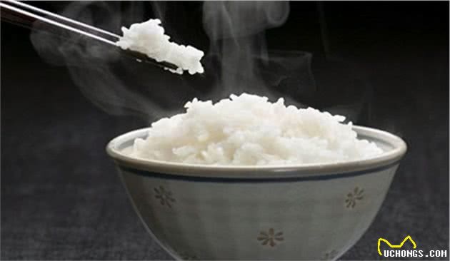 适合法国斗牛犬吃的“人食”，一般家庭都有