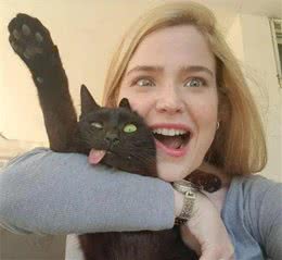 养猫首选！这几种猫，好养又不贵