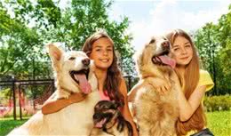 狗狗用这些肢体语言来表达喜欢，全中的主人太幸福了