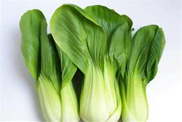 狗狗可以吃青菜么？