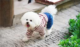 狗狗总是不爱喝水？你可能没有做好这几件事