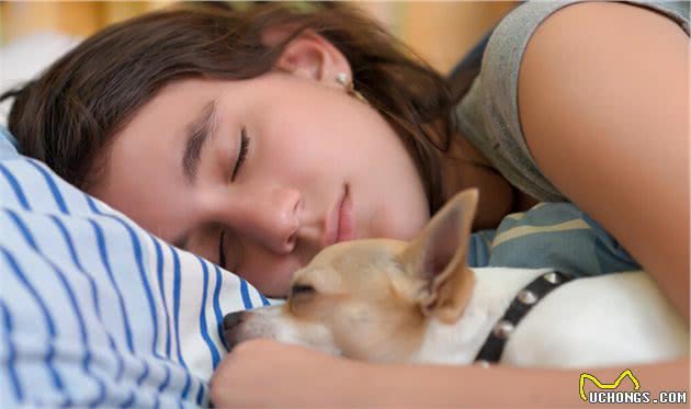 狗狗致命疾病：犬瘟热和细小，你了解多少？