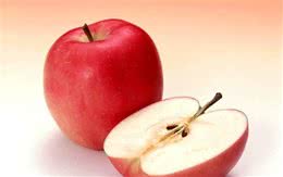 兽医告诉你：狗狗吃这6种食物，健康又养生