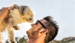 狗狗常见的4大精神病，宠主要重视，会影响它一生的