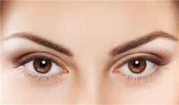 宠物狗喜欢直视它的眼睛吗？