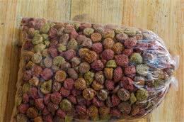 储存宠物食品的4个提示为确保您的宠物健康请重视起来