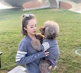 贵宾犬这样做，说明它愿意服从你，完全把你当老大