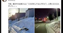狗狗每次出门散步前，都要躺在雪地里一会再走，狗：让我冷静冷静
