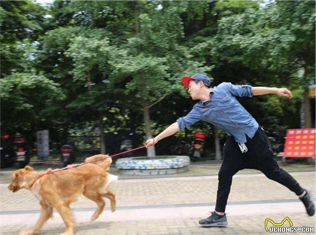 “狗遛人”的危害非常大，教你3招，让你摆脱狗遛人的尴尬