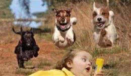 狗狗喜欢“追逐”小孩的原因，你别忽视了