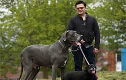 这10种狗，公认最忠心，养过的都知道