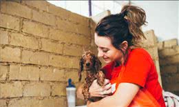 狗狗不开心怎么办？主人只要做这4件事，狗狗立马笑容满面