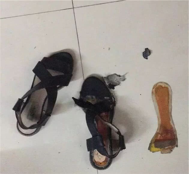铲屎官们请注意，狗狗有这些行为，有可能患有分离焦虑