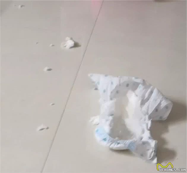 铲屎官们请注意，狗狗有这些行为，有可能患有分离焦虑