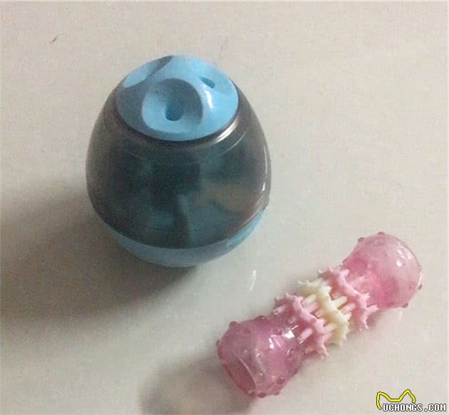 铲屎官们请注意，狗狗有这些行为，有可能患有分离焦虑