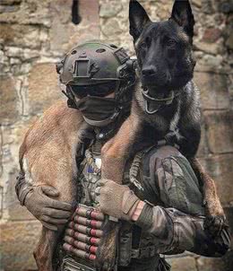 警犬界的新秀：马犬，一只没有胆量养的狗
