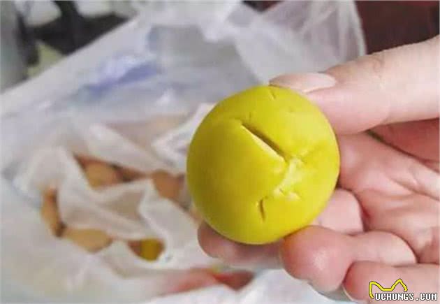 泰迪犬最爱吃的几种食物，你喂了吗？