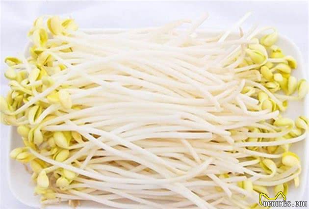 狗狗要多吃蔬果？却不知道这5种蔬果，对它来说杀伤力很大！