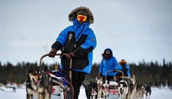 哈士奇终于上场了，拉雪橇极地穿越330公里