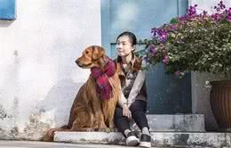 轻松解决金毛犬身上“5大臭”
