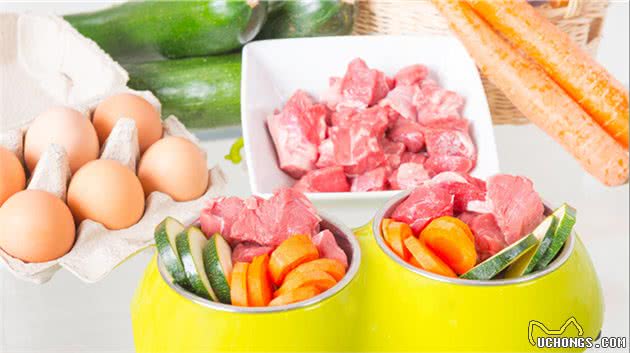 狗狗挑食怎么办？学会这几招，让你轻松应对
