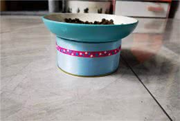 月薪三千的新手养猫应该准备哪些东西？