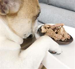科学训犬，省时省心，基本方式包括这四种