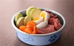 注意注意夏季养狗注意事项