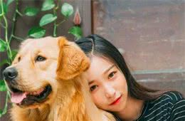 狗狗迷惑行为大赏，这些行为背后的意思，你读懂了吗？