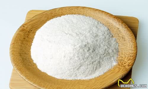 小狗可以吃钙片吗？怎么样才能帮助小狗很好的补钙呢？
