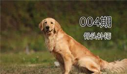 辟谣，喂食大量骨头不能帮狗狗补钙，反会令爱犬肠胃黏膜受损