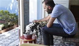 狗狗被换了主人没感觉？别小看主人了，人可以通过气味来辨别狗狗