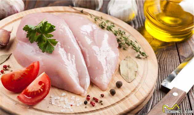 狗狗吃“人食”好吗？这份“食物红黑榜”，建议收藏