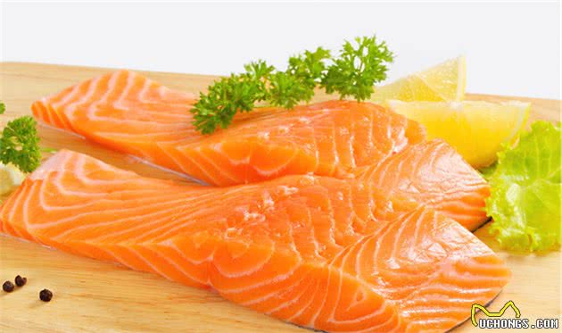 狗狗吃“人食”好吗？这份“食物红黑榜”，建议收藏