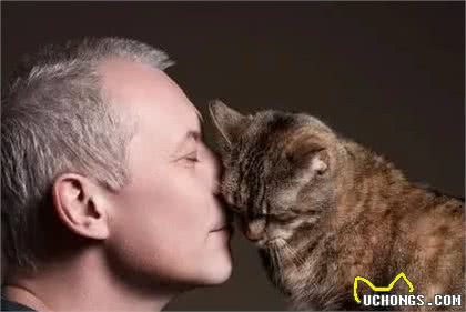 狗狗的焦虑症被橘猫治愈了