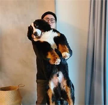 一眨眼小狗变成大狗，不变的是狗狗的灿烂笑容！不舍得狗狗长大啊