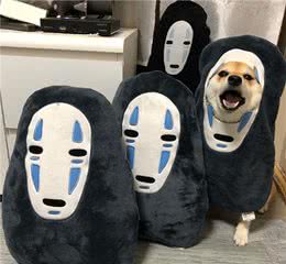 新手买柴知识点｜在哪里购买柴犬？如何挑选柴犬幼犬？