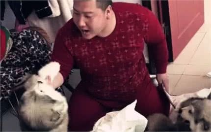 主人亲自给狗狗做示范，连自己都打，笑坏了网友