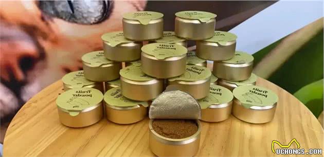 8个创意满满的猫咪用品｜猫研所带你逛亚宠展