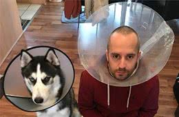 劝告！长期这样养狗，简直是在减少狗子的寿命