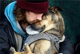 柴犬独自在家等待主人下班归来，监控内安静模样令铲屎官看后心疼
